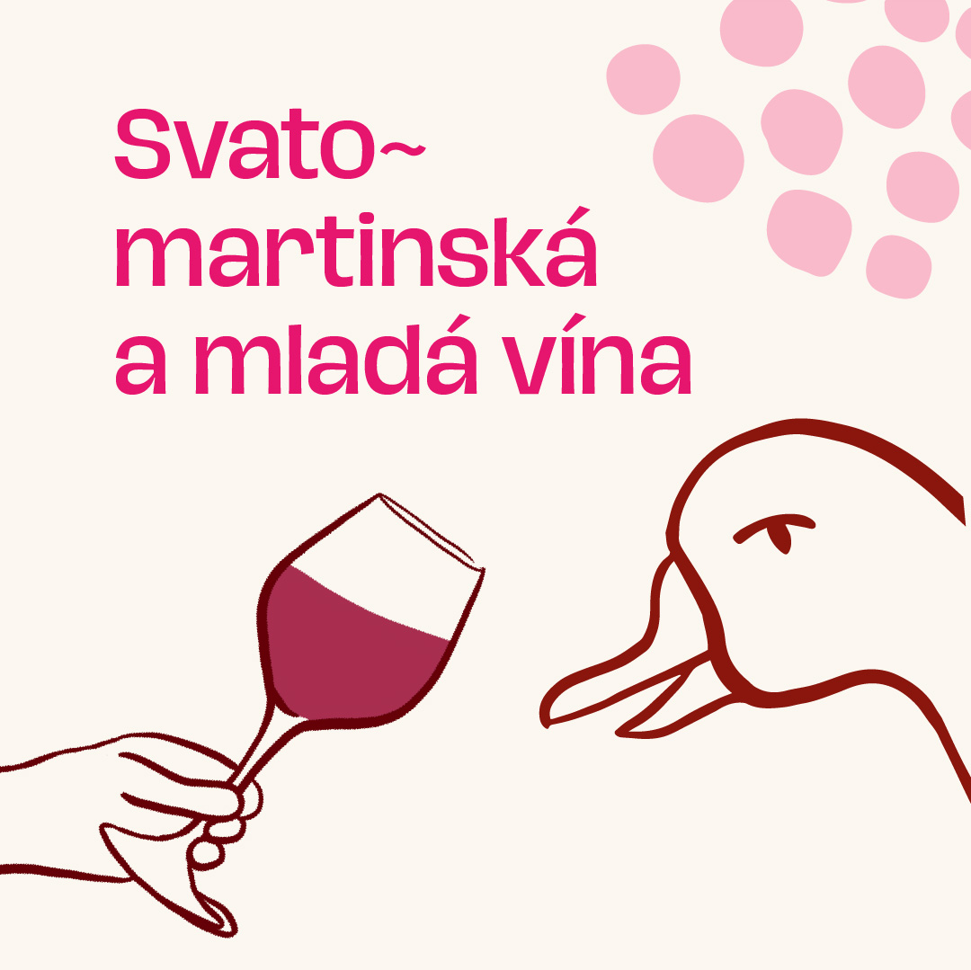 Svatomartinská a mladá vína